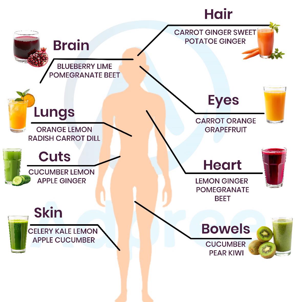Directions: Food for Health