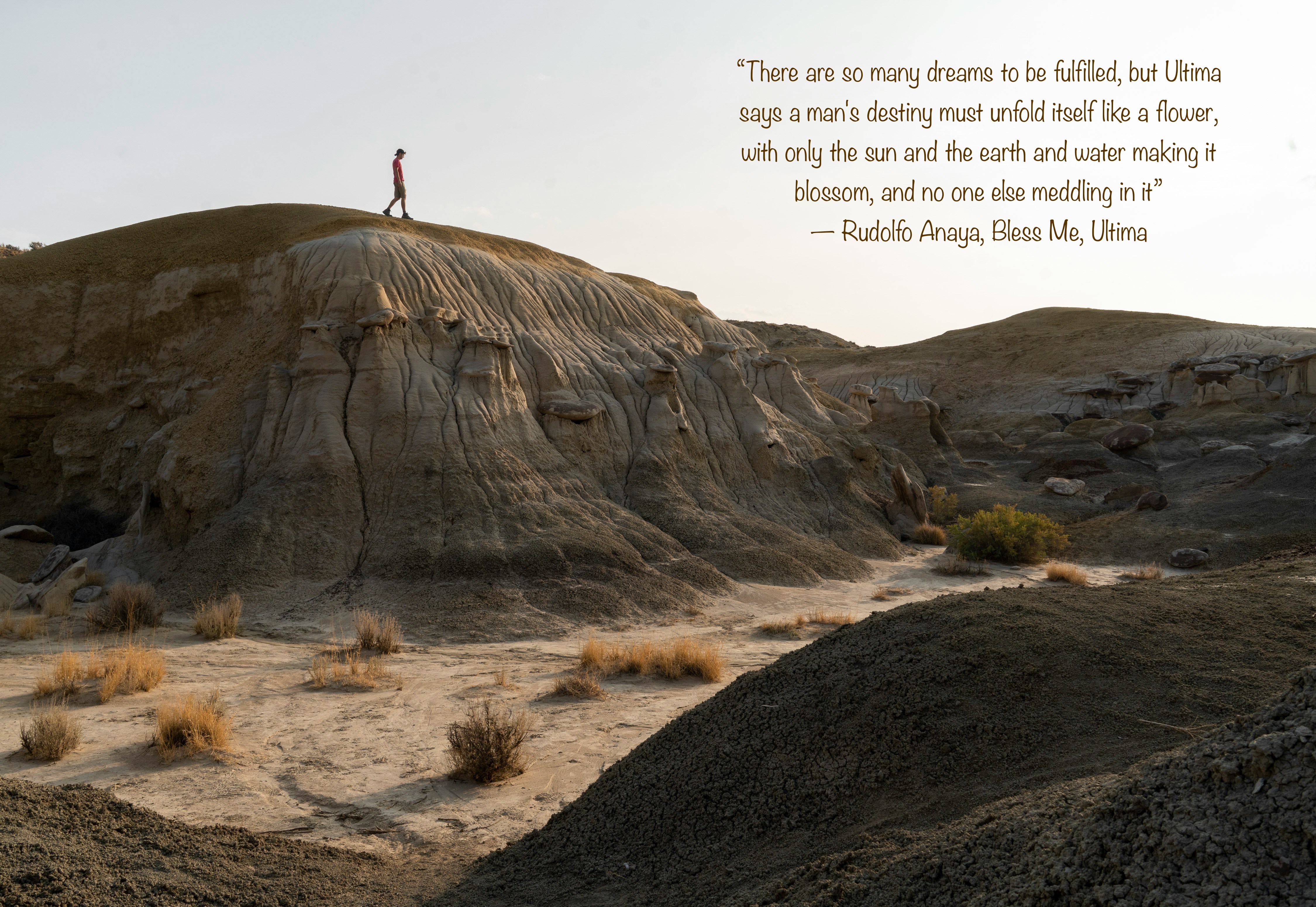 Directions: Destiny. Rudolfo Anaya, Bless Me, Ultima